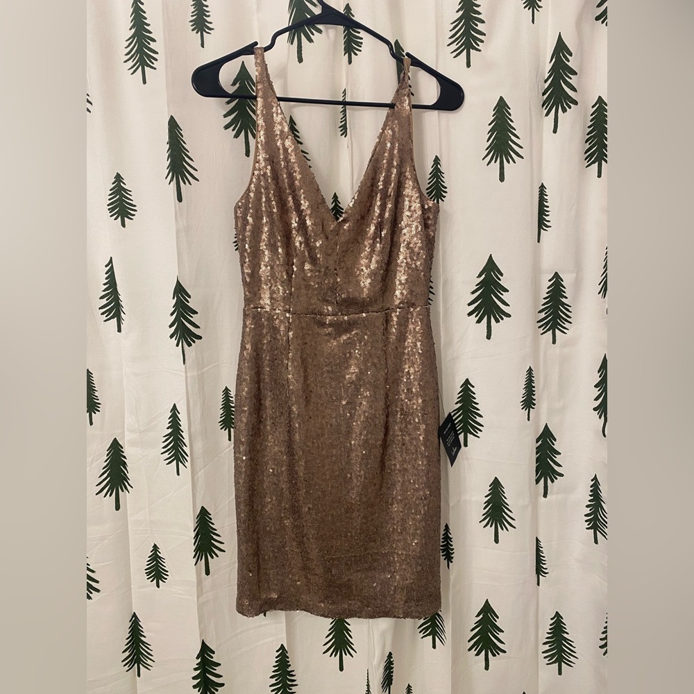 Lulus sequin dress - perfect for a holiday party!